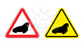  Warning sign attention walrus. Hazard yellow sign the seal. Silhouette of Arctic animal with fangs on  red triangle. Set Road signs.