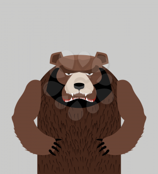 Angry bear standing. Vector illustration