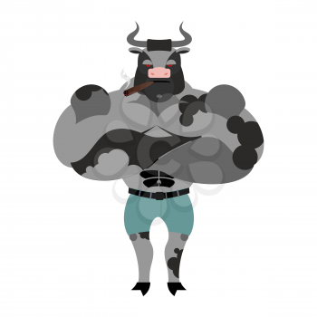 Big and strong Bull. Farm animal bodybuilder with large horns. Evil and powerful animal with cigar.
