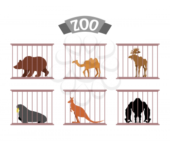 Zoo. Collection of wild animals in cages. Beasts behind bars. Bear and moose in captivity. Kangaroo and camel sit at Zoo. Seal, walrus and Gorilla under control of   person. Animal care.