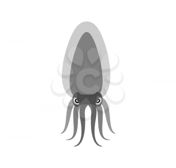 Squid on a white background. Vector illustration of a sea animal with tentacles. Marine mollusk
