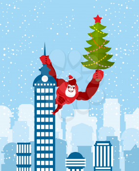Big Red Gorilla dressed as Santa Claus climbs the building with Christmas tree in their hands. Wild beast with  beard and mustache. Monkey on skyscraper. Monkey is symbol of Chinese new year.
