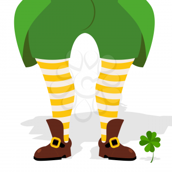 Legs leprechaun and clover. Green frock coat and striped socks. Old shoes magic dwarf. Leprechaun found clover. Illustration for St. Patrick's day national holiday in Ireland.
