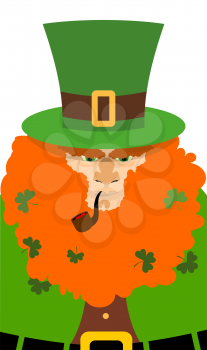 Leprechaun in Green Hat. Portrait serious leprechaun with big Red Beard. Angry leprechaun with smoking pipe. Illustration for St. Patrick's day celebration in Ireland
