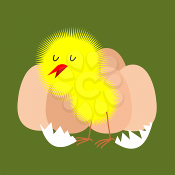 Egg and chicken. Furry chick hatched from an egg. Vector illustration.
