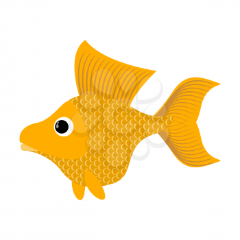 Goldfish on white background. Fabulous fish fulfills desires. Yellow Sea animal
