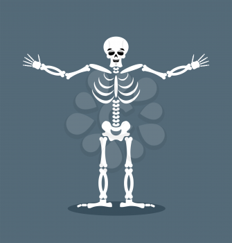 Happyl skeleton stretched out his arms in an embrace. Good-natured dead. Lovely kind of skull and bones
