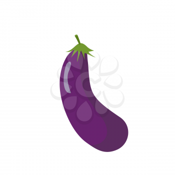 Eggplant isolated. Purple vegetables on white background. Eating vegetarian
