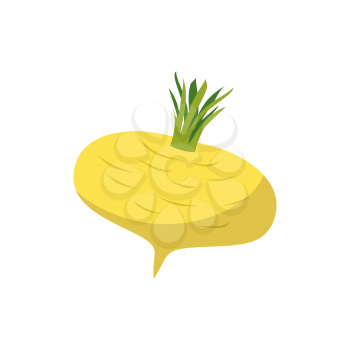 Turnip isolated. Yellow vegetables on white background. vegetarian Food
