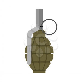 Military Grenade green. Army explosives. Soldiery ammunition. War Explosive bombshell
