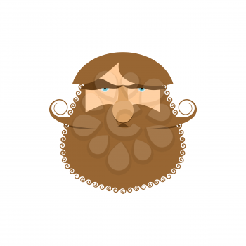 Hipster face isolated. Beard and mustache. Head bearded man