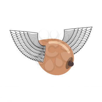bosom with wings flying. Flying tit. Sorority logo. Female Boobs emblem. Breast sign
