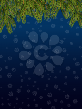 Branches of spruce and  night sky. Snowflakes fly. Snowfall on dark Background for Christmas and New Year