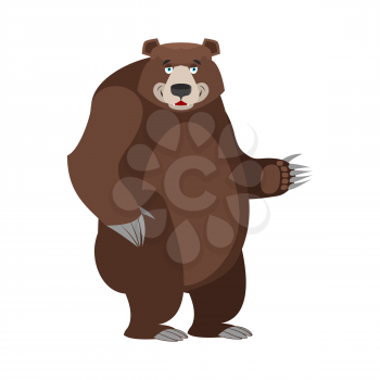 Bear in white background. Good happy wild animal. Forest beastl with brown fur. Big grizzly isolated. Large power predator standing on hind legs