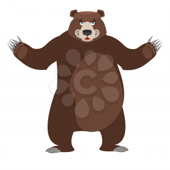 Bear in white background. Good happy wild animal. Forest beast with brown fur. Big grizzly isolated. Large power predator standing on hind legs