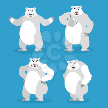 Polar Bear set of different poses. Expression of emotions. Wild beast and evil good. Sad and happy animal. Big strong predator
