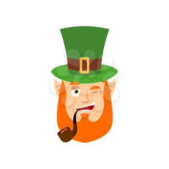 Leprechaun winks. Dwarf with red beard happy Emoji. Irish elf emotions. St.Patrick 's Day. Holiday in Ireland