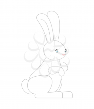 White Rabbit isolated. cute Hare. bunny Animal
