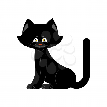 Black cat isolated. Sweetheart Kitten home pet
