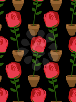 Rose in pot seamless pattern. Home Flower texture. Floral ornament