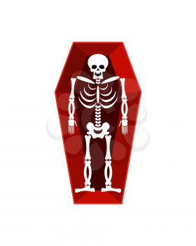 Skeleton in coffin isolated. Religion illustration. human Death