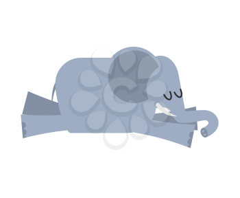 Sleeping elephant. Animal africa is sleeping. Sleepy wild beast

