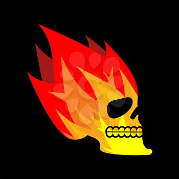 Skull fire. Head skeleton flame. flaming skull tattoo sign
