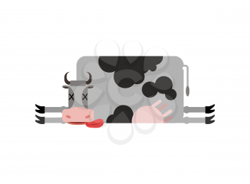 Dead cow. Farm animal dead. Corpse cattle
