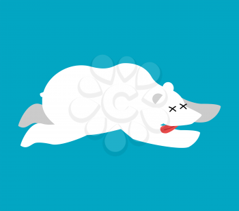 Dead polar bear.Arctic and Antarctic wild beast dead. Corpse North Predator
