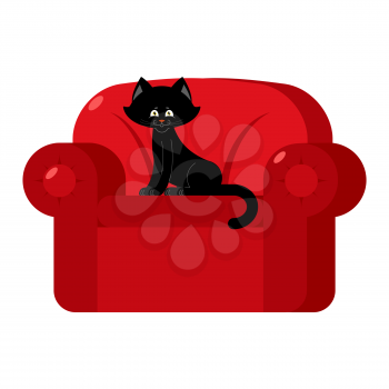 Black cat on red armchair. Home pet on chair
