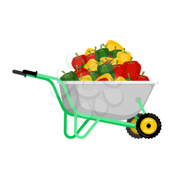 Wheelbarrow and pepper. vegetables in garden trolley. big harvest Vector Illustration