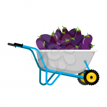 Wheelbarrow and eggplant. vegetables in garden trolley. big harvest Vector Illustration