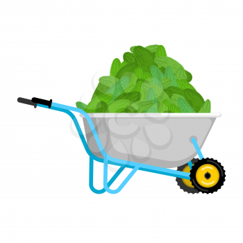 Wheelbarrow and cucumber. vegetables in garden trolley. big harvest Vector Illustration