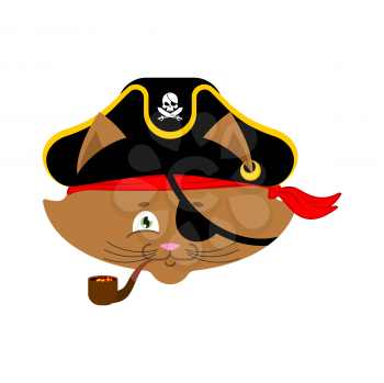 Cat pirate. Home pet buccaneer. filibuster hat and smoking pipe. Vector illustration.
