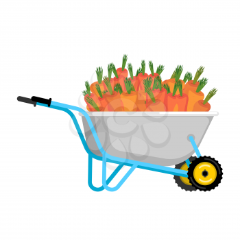 Wheelbarrow and carrot. vegetables in garden trolley. big harvest Vector Illustration