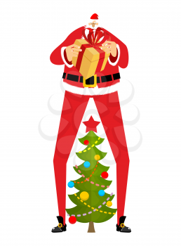Santa Claus and Christmas tree. high Santa and spruce between his legs. New Year illustration. Christmas vector
