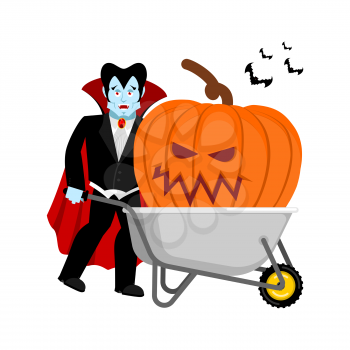 Halloween wheelbarrow and vampire dracula. big terrible pumpkins. Vintage pumpkin. Vector illustration
