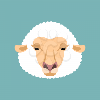 Sheep face isolated. Ewe head. Vector illustration