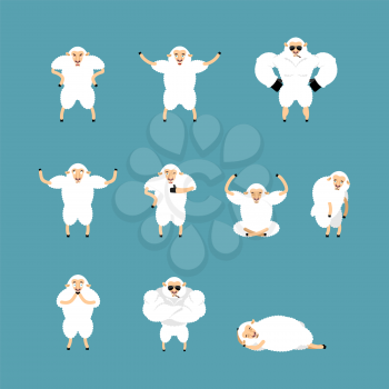 Sheep set poses and motion. Farm animal happy and yoga. Ewe sleeping and angry. guilty and sad. Vector illustration