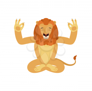 Lion yoga. Wild animal yogi isolated. beast Relaxation and meditation. Vector illustration