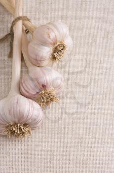 garlics on sack background material