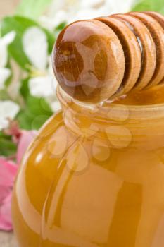 honey in glass jar and stick with blossom flowers