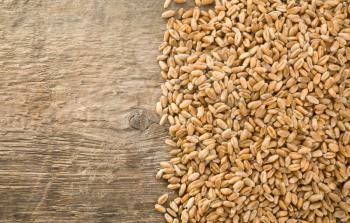 wheat grain on wood texture background