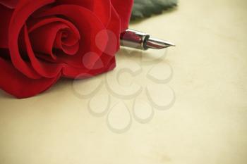red rose on parchment background