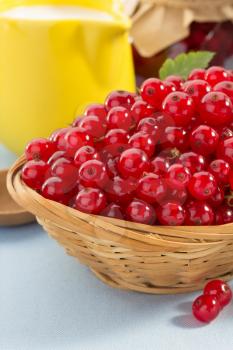 red currants berry in bowl