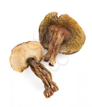 dried mushrooms isolated on white background