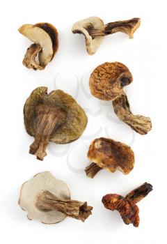 dried mushrooms isolated on white background