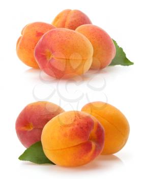 apricot fruit isolated on white background