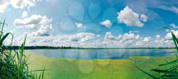 Panorama of the summer overgrown lake.
Overgrown with weeds large lake situated in city Vad Nizhny Novgorod region
