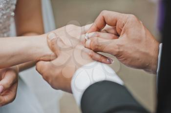 Embraces of hands of the newly-married couple.